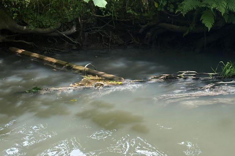 'Overwhelming stench of sewage' as Welsh river hit by ongoing spill