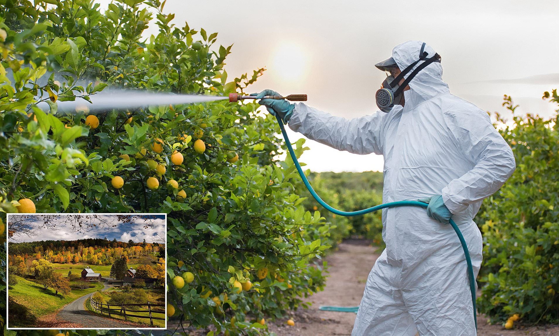 US state becomes the first to ban chemical linked to organ failure and ...