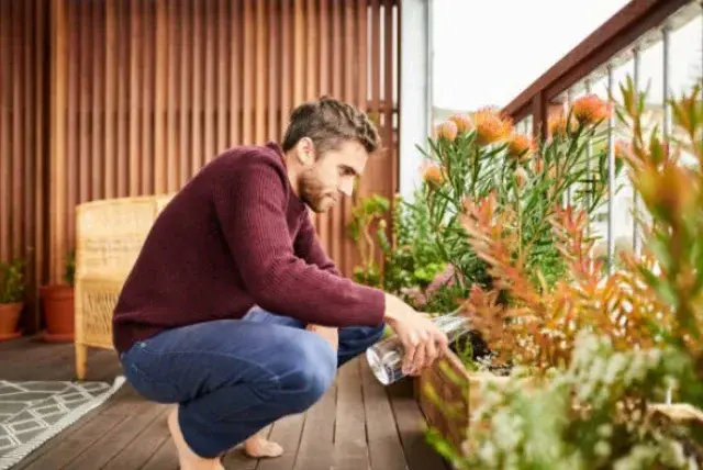 Los expertos relacionan las plantas con bienestar emocional. ISTOCK