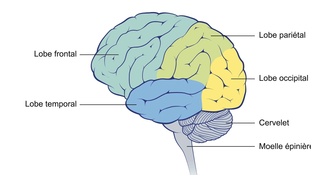 Rewire your brain for real confidence