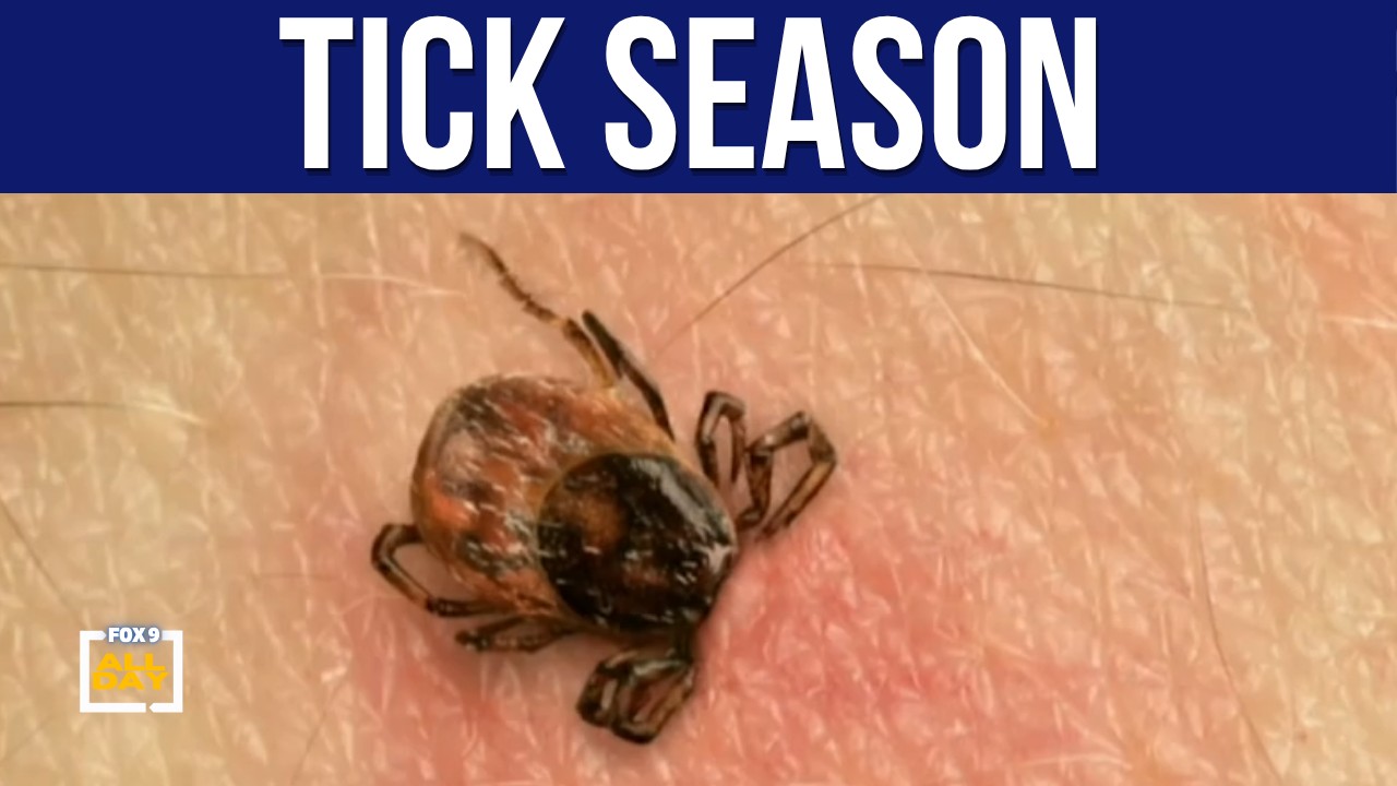 Tick season ramps up across Minnesota
