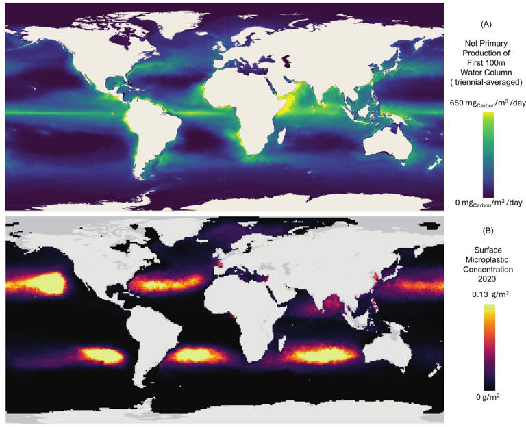 Microplastics may be weakening the ocean’s ability to fight climate change