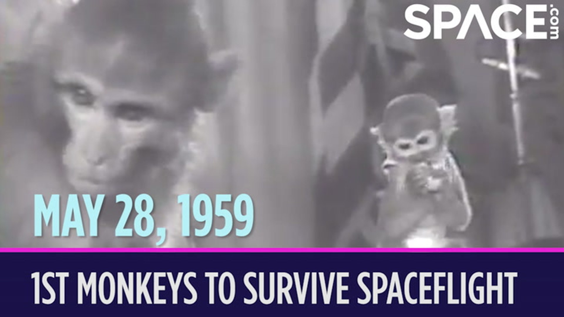 OTD in space – May 28: Able & Baker become 1st monkeys to survive ...