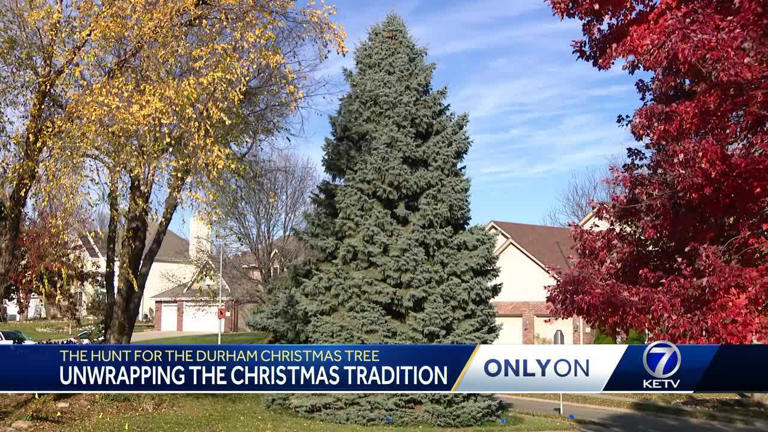 Durham Museum seeking tree submissions for annual Christmas tree