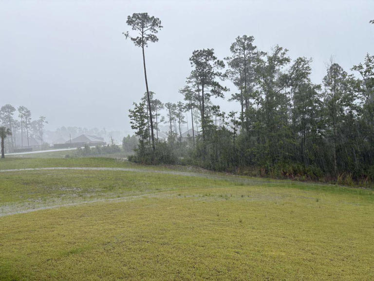 Flood warnings issued as heavy rain falls across south MS. Here are the ...