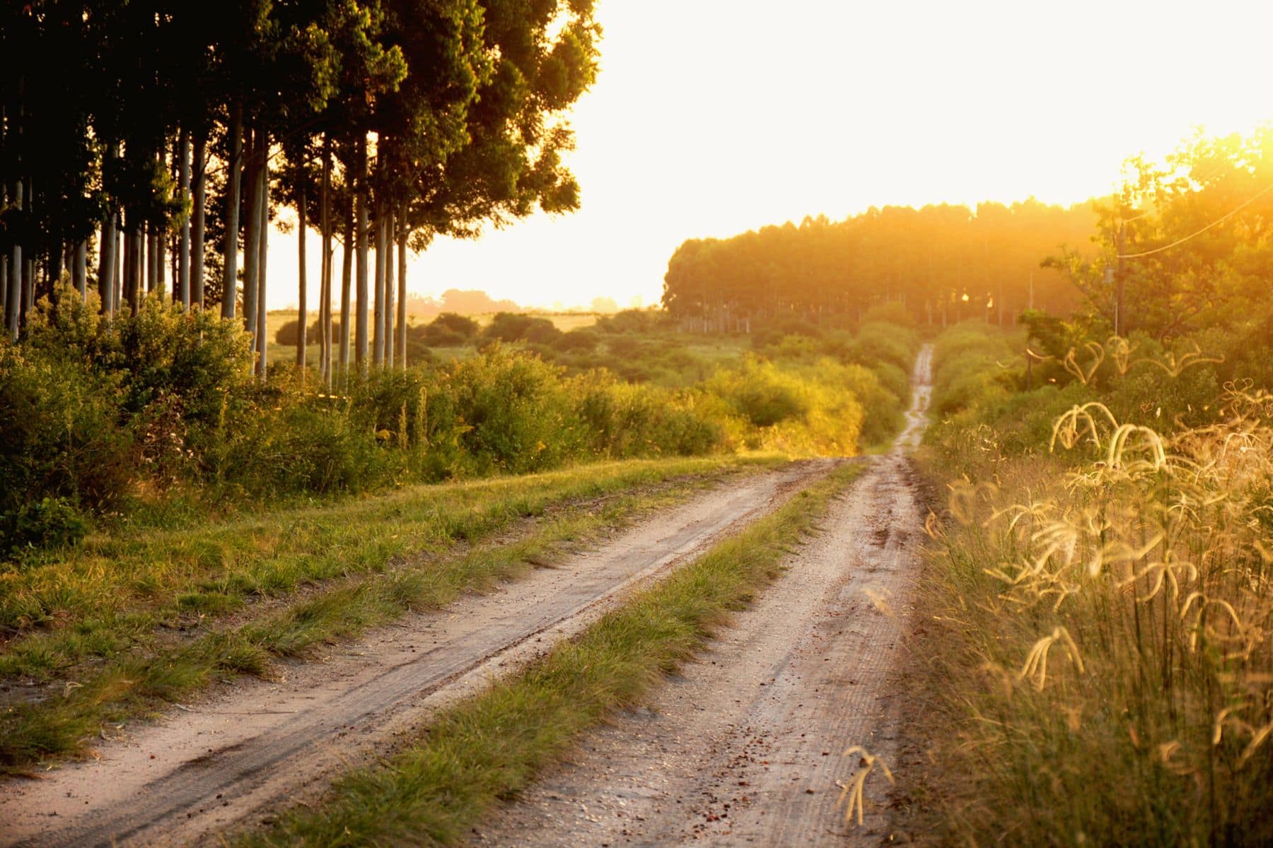 Finding serenity and connection on the less-traveled Portuguese Camino
