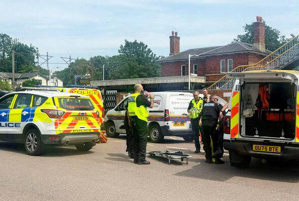Man dies after being struck by high-speed train following A1 custody ...