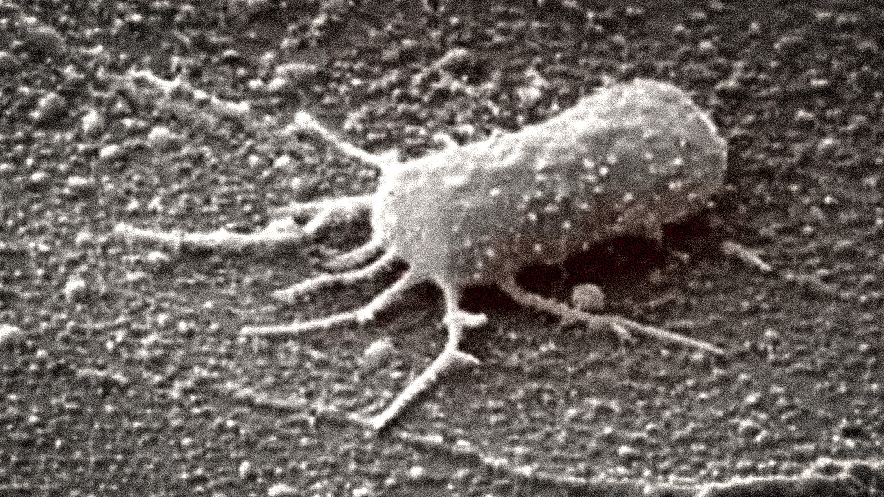 NASA's Mars discovery sparks excitement over unexpected findings