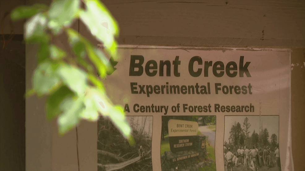 Retired US Forest Service special agent says federal agency doesn't ...
