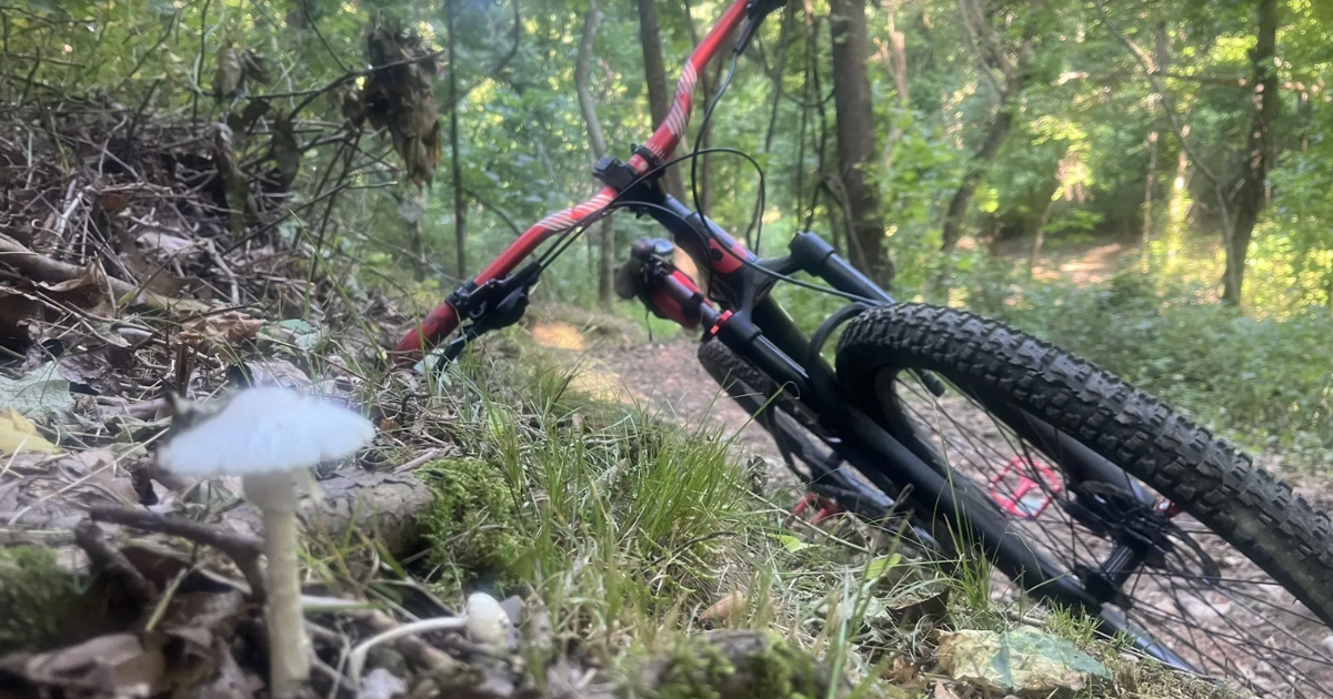 Skip the hike - this Arkansas trail is even better