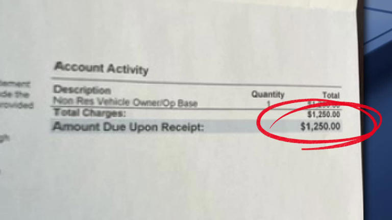 Tree falls on moving car, woman gets $1,250 cleanup bill