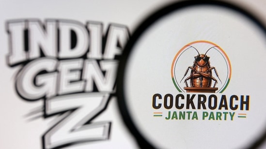 Setback for Cockroach Janta Party, Delhi HC refuses to immediately restore X account as content 'slightly offensive'