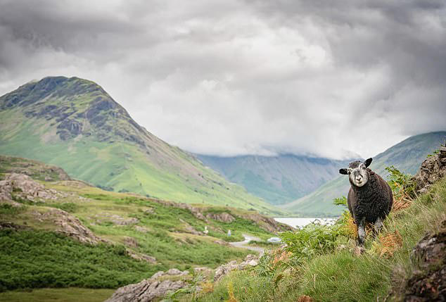 Rydal Hall Farm is part of the 12,500-acre Rydal Hall Estate which dates back to the 15th century and is still owned by the Le Fleming family