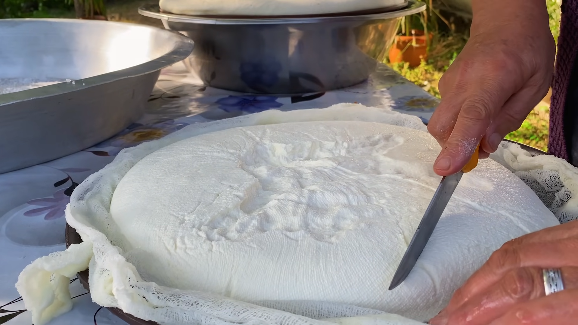 This video shows how fresh milk becomes rustic cheese