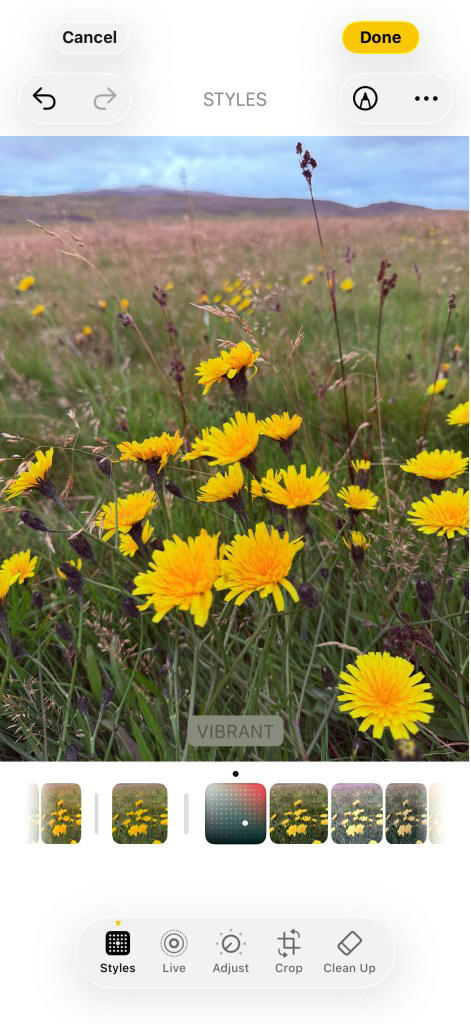 This iPhone camera feature completely changed how I shoot photographs
