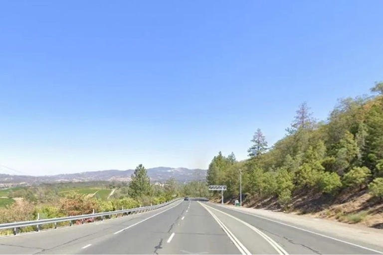 California woman shot in the head during road rage incident ...