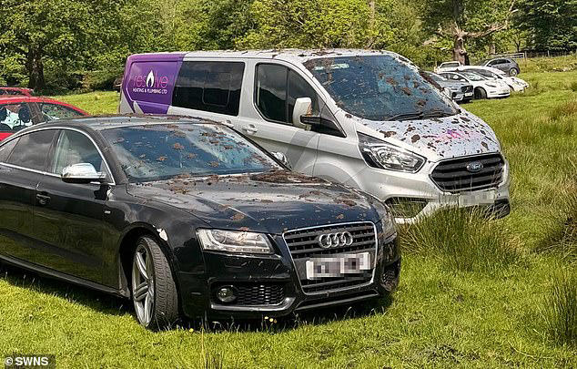 Phone footage shows at least 20 vehicles, including Mercedes, Jaguars and BMWs, parked on the private land near Rydal Water, in the Lake District covered in muck