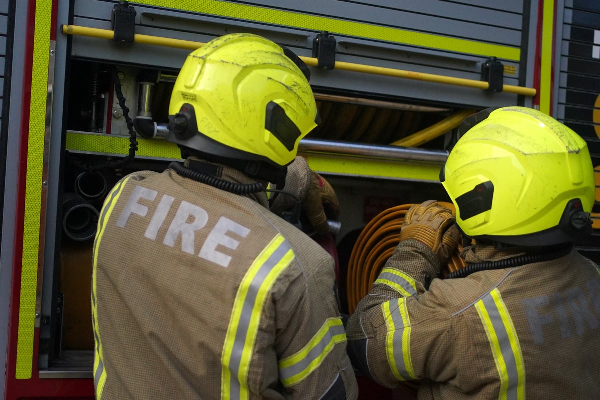 New Forest heathland fire sparked by vehicle forces A31 closures