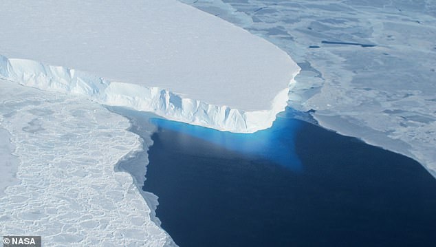 Antarctica's Doomsday Glacier could lose its ice shelf this year ...
