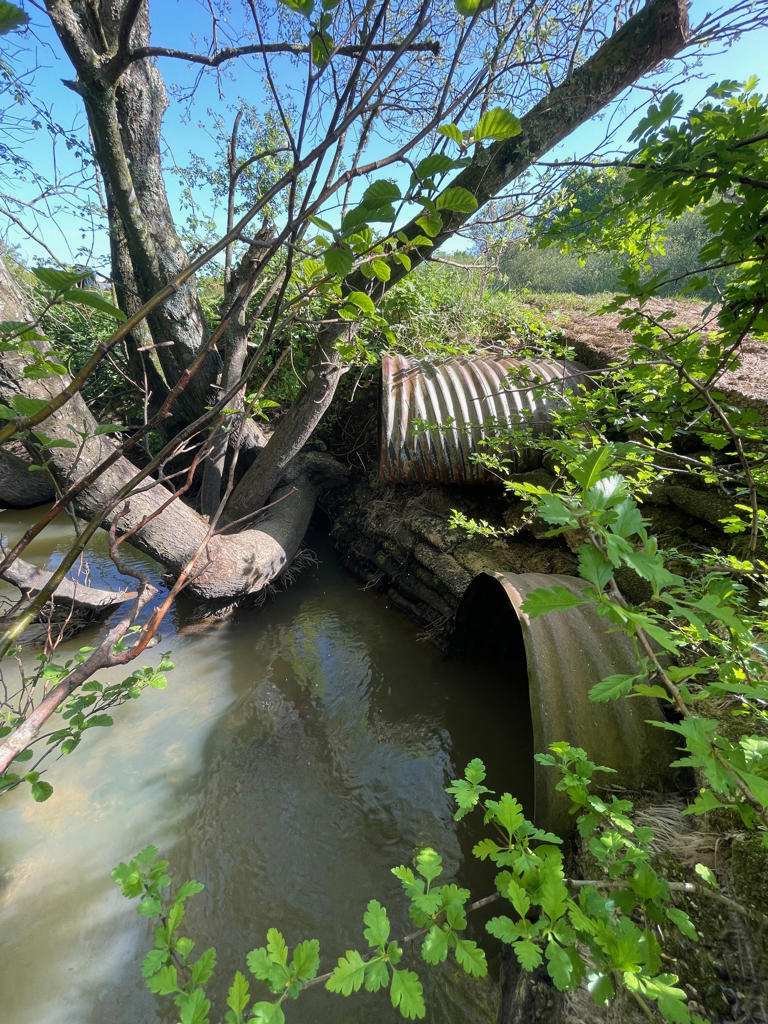 River restoration project unlocks 18km of habitat