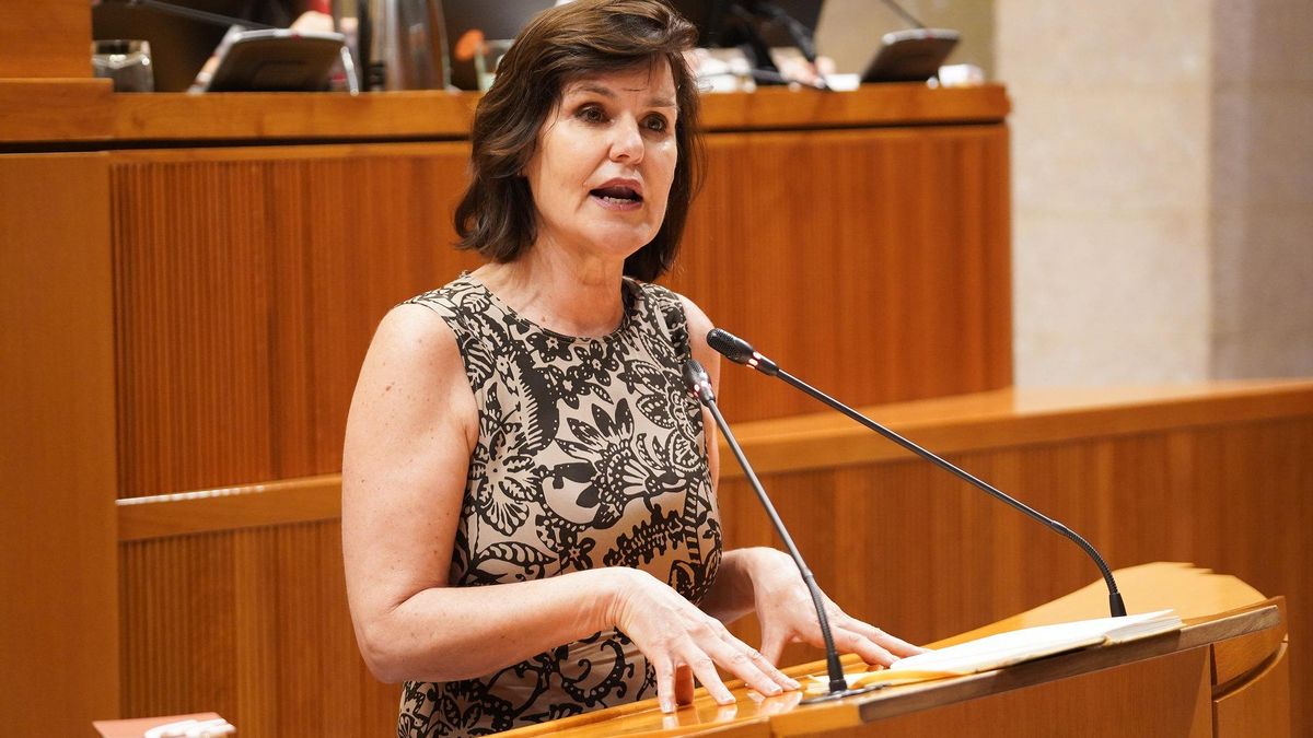 El PP interpela al PP: las Cortes de Aragón dejan por primera vez que ...