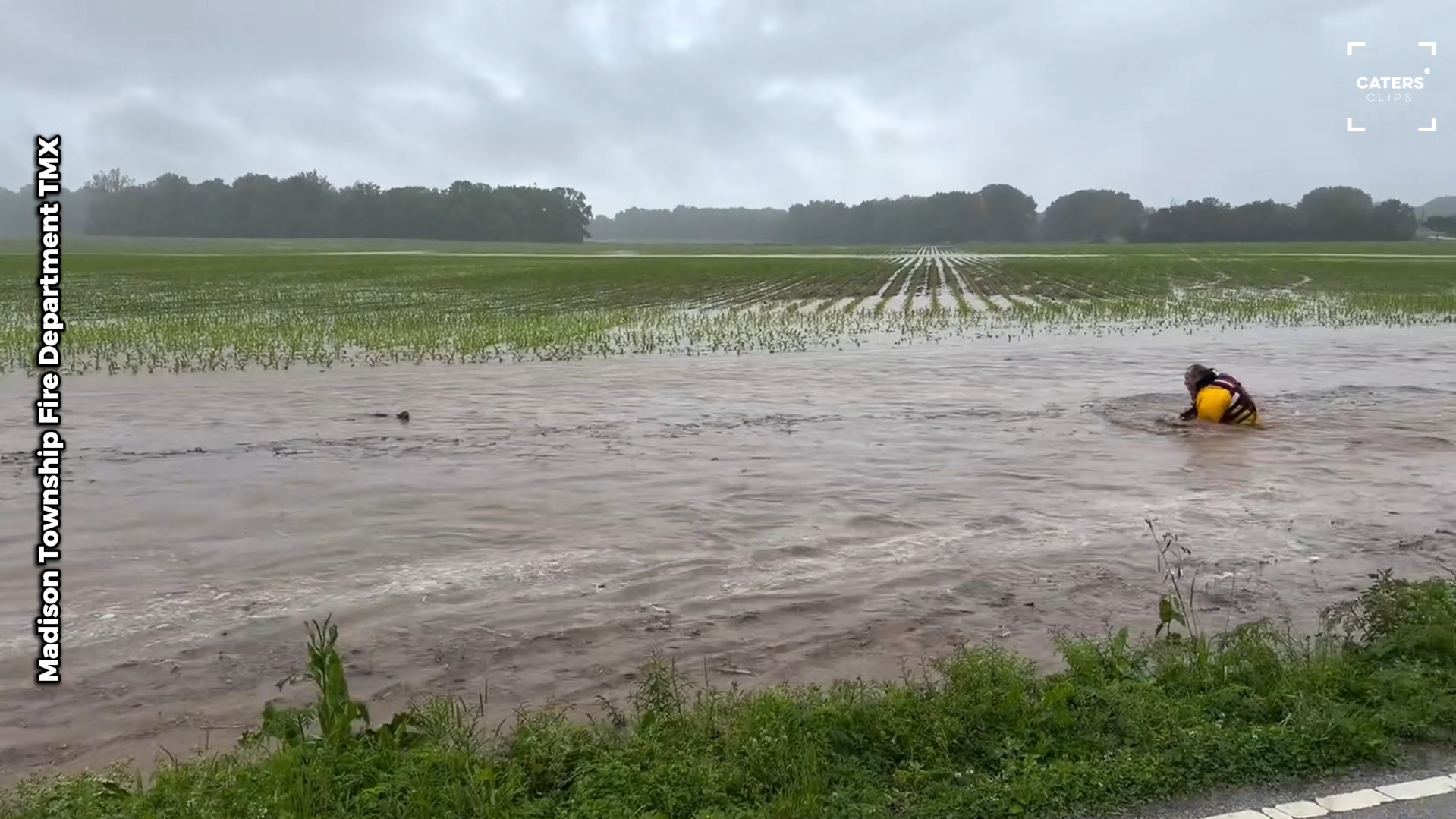 Baby deer rescued from fast-moving floodwaters in Indiana