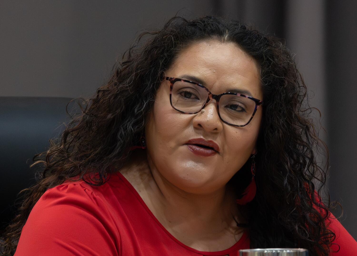 LAUSD board incumbents cruise to wins; challengers lacked support from ...