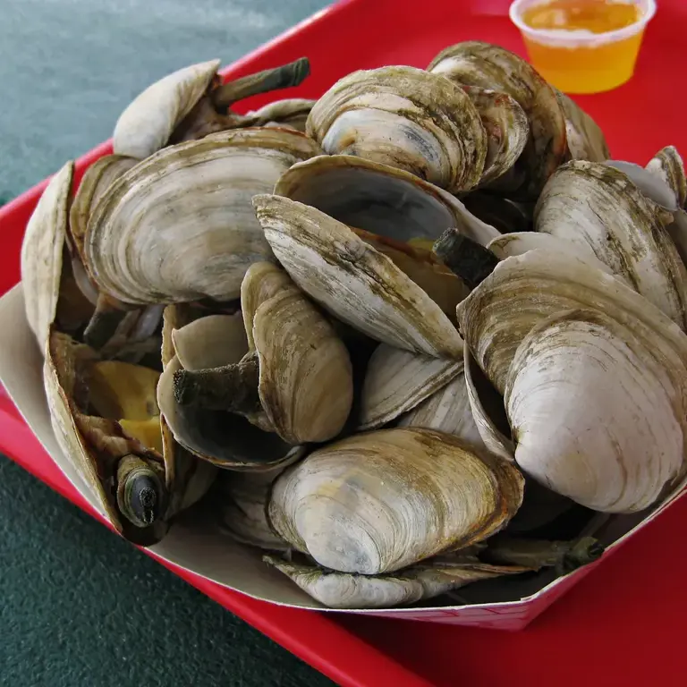 Coastal kitchen: 8 seafood comfort foods unique to the New England shore