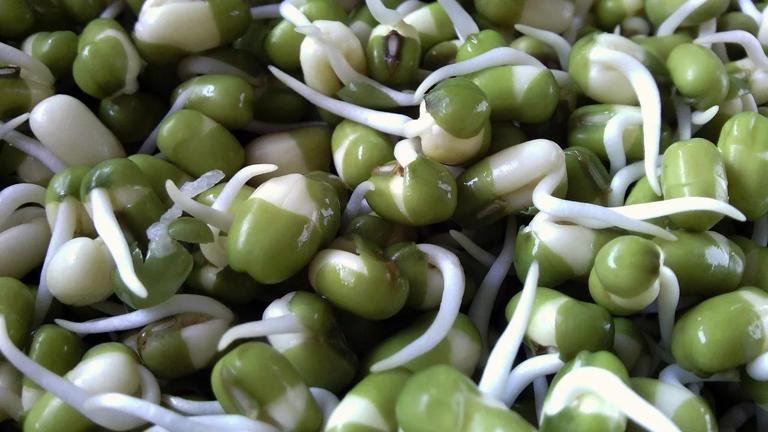 Why sprouting your grains and seeds unlocks hidden nutritional benefits