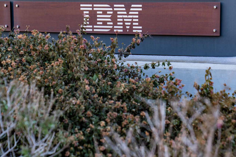 IBM lawsuit in Austin adds to increasing claims of AI bias against ...