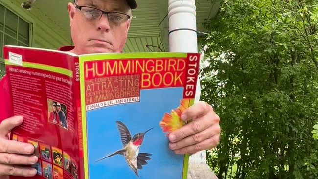 Attracting hummingbirds is apparently no problem while you read a book ...