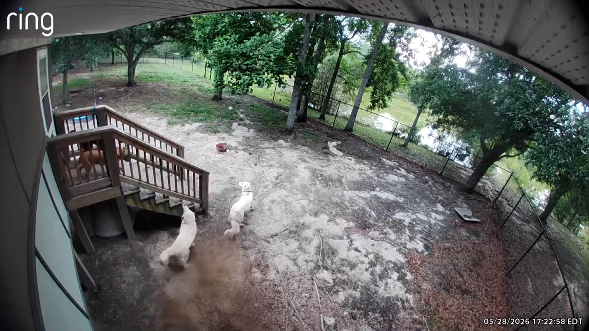 ‘What the — was that?’: Mysterious sonic boom rattles South Carolina