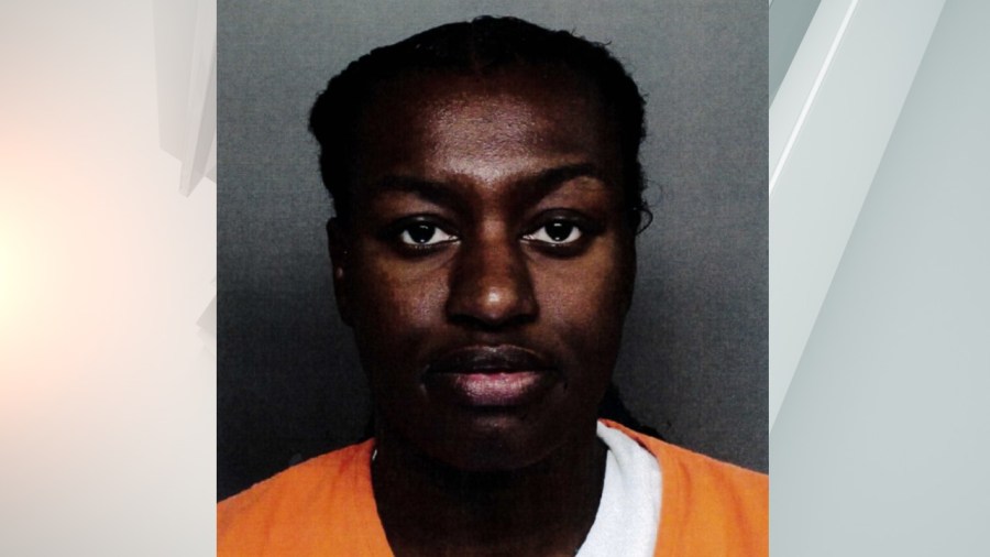 Woman accused of stabbing sister