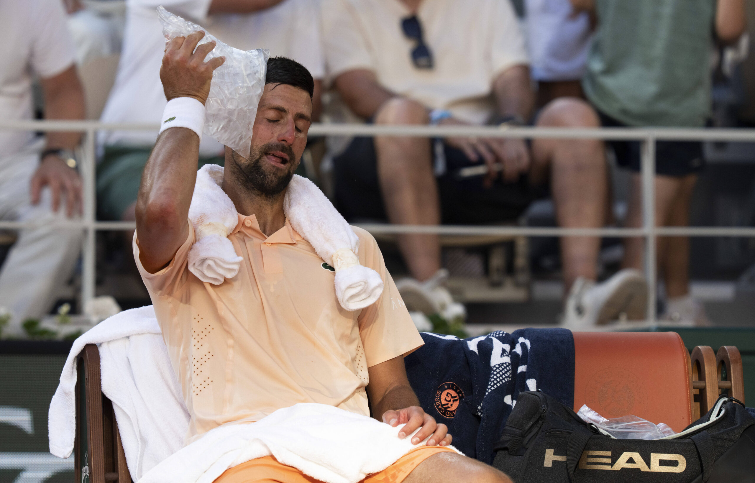 Will Novak Djokovic win another Grand Slam?