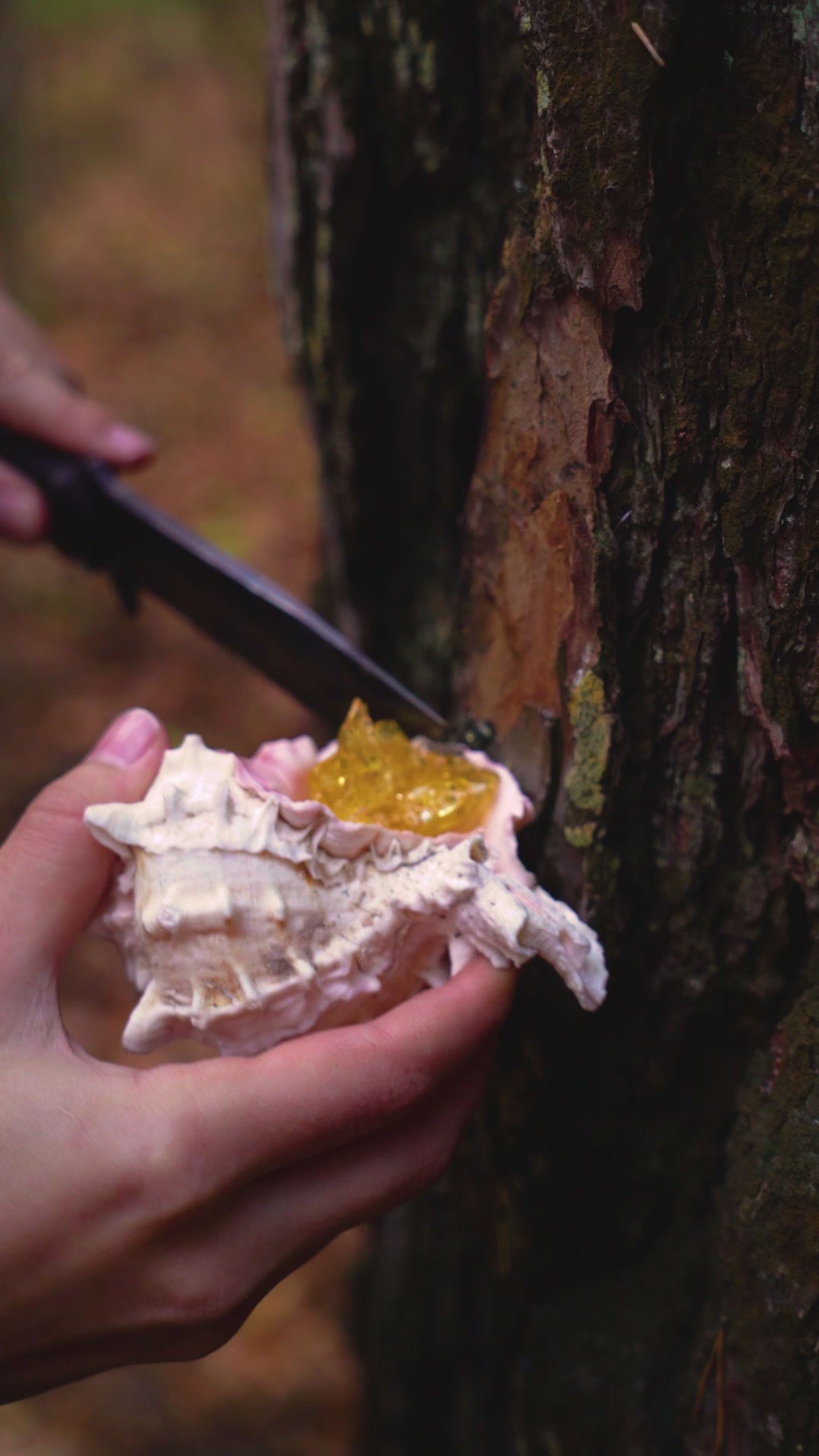 Transforming everyday items into amazing creations