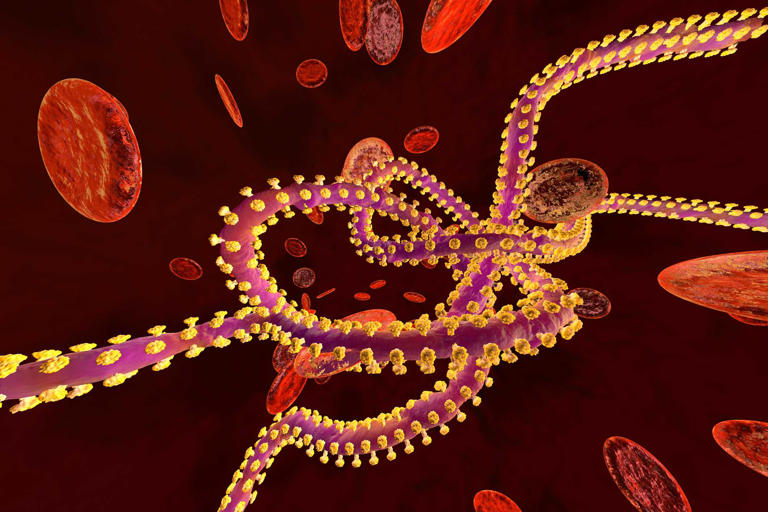 Tracking the Ebola outbreak in Congo, Uganda