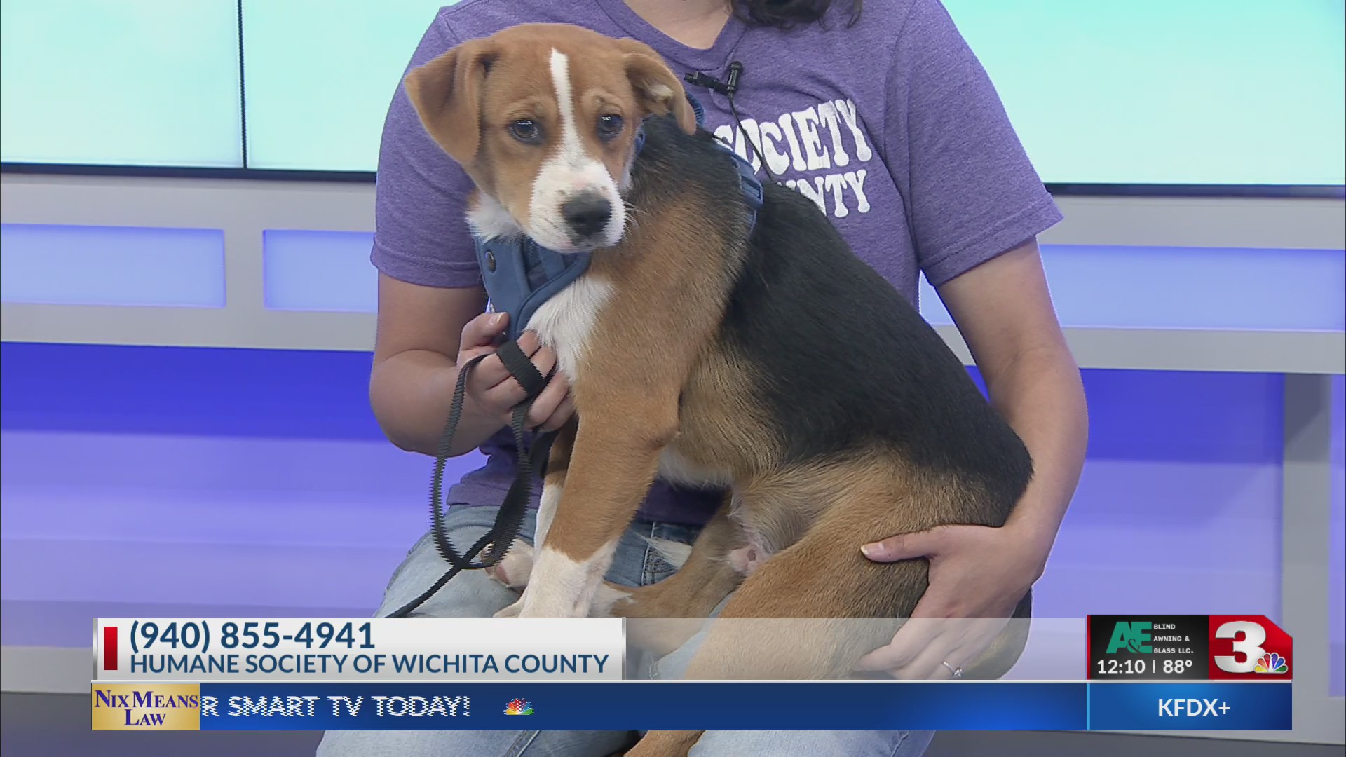 Meet Drew from the Humane Society of Wichita County!