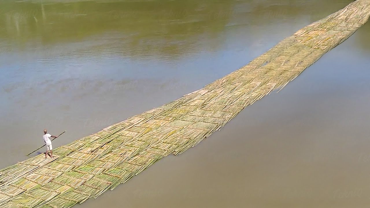 Crazy way they transport millions of bamboo sticks together in river