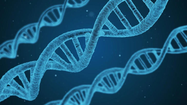 1997 Texas cold case solved after DNA testing leads to arrest in ...