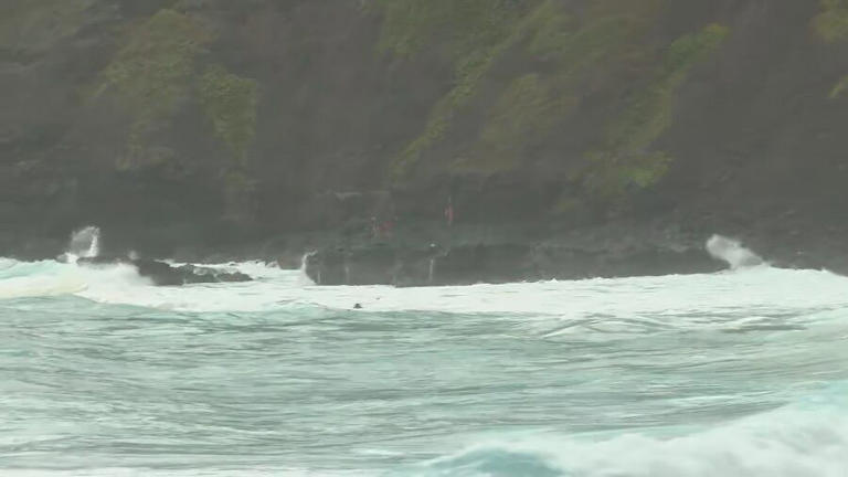 Rescuers recover unresponsive swimmer at Makapuu Beach; CPR initiated ...
