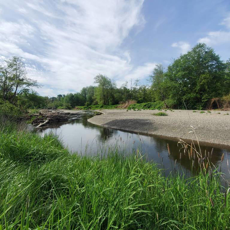 Assessing future sites in the Cloquallum watershed for stream restoration