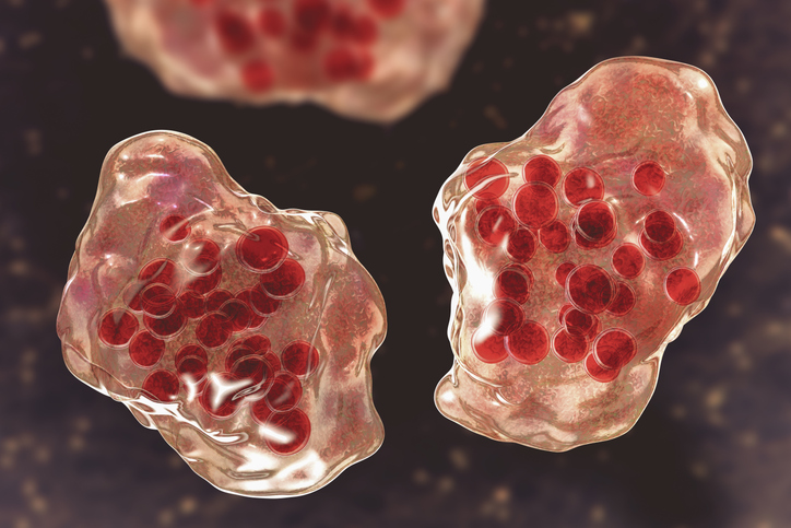 Local pediatrician, US senator offer insights as measles outbreak continues