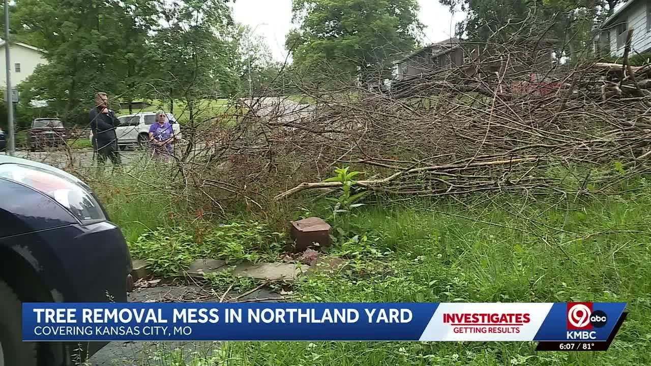 Tree removal mess leaves Northland yard in disarray