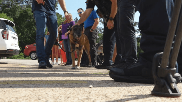 The 'last walk' offers an emotional farewell and tribute to K-9 Rico