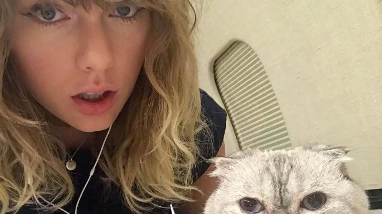 Inside Taylor Swift’s love for cats