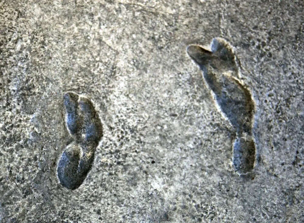 In 1976, an excavation in Tanzania unearthed ancient footprints that ...