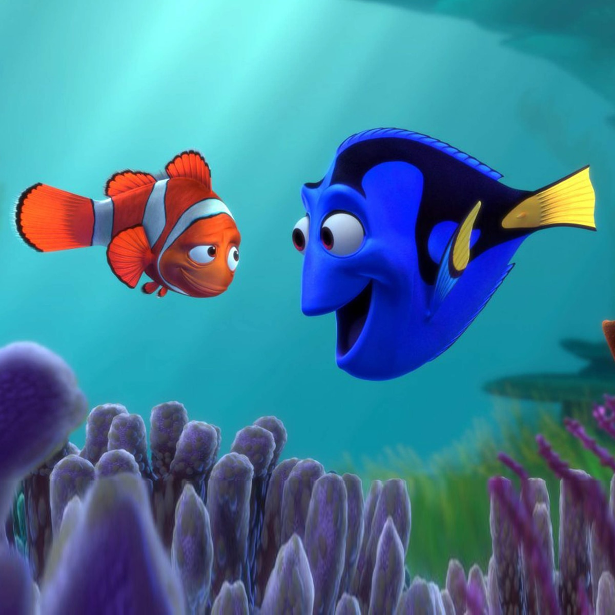 Secrets from Finding Nemo you won't want to forget