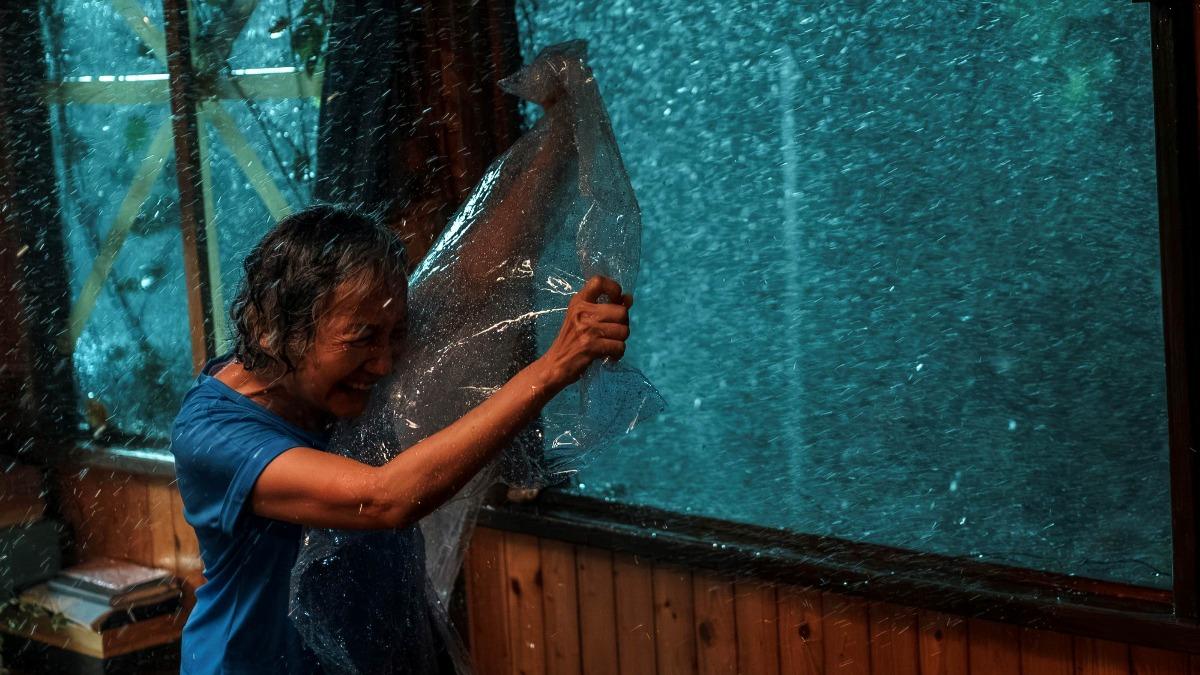 影后單薄身軀迎戰風雨 喚醒「真實驚魂記」：颱風吹到抱電桿