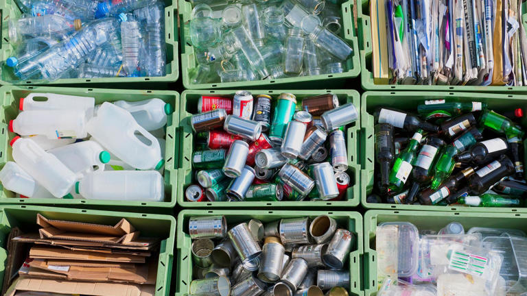 What is changing with your bin collection?