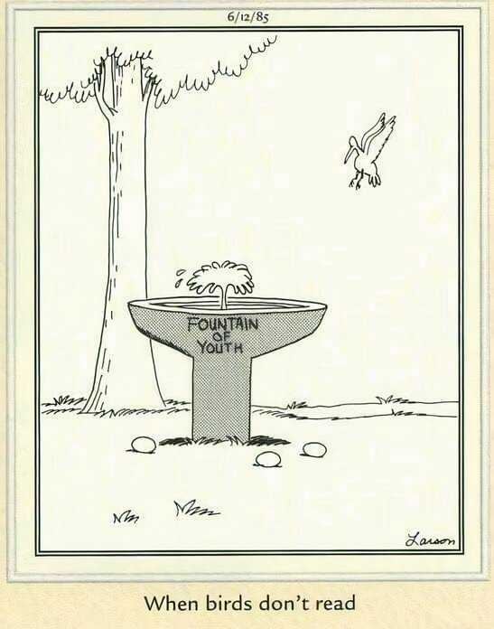The Fountain of Youth reverts birds to eggs.